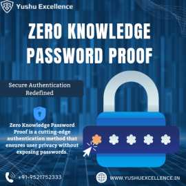 Zero Knowledge Password Proof, Hisar