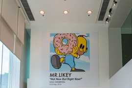 Custom Wall Murals for Your Space in Etobicoke, Etobicoke