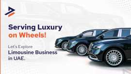 How to Start a Limousine Business in Dubai, UAE, Dubai