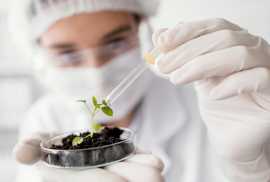 Plant Tissue Culture Manufacturers, New Delhi