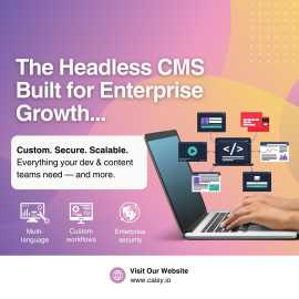 Headless CMS for Enterprise: Scalable, Secure, Cus, Stuttgart