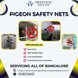 Pigeon Safety Nets Bangalore, Bengaluru