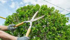 Best Landscape Design in Los Angeles, Los Angeles