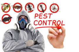 Winnipeg’s Choice for Long-Term Pest Prevention, Winnipeg