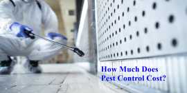  Embracing Eco-Friendly Pest Control Solutions, Calgary