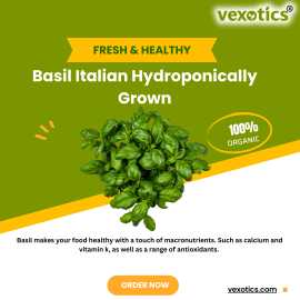 Italian Basil Leaves Online, $ 50