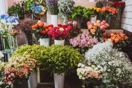 Floral Products Wholesale – Premium Flowers, Green, Miami