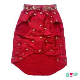 Dress Up Your Pup in Designer Dog Clothes, New Delhi