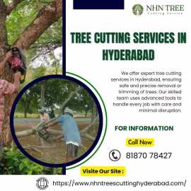 Best Tree Cutting Services in Hyderabad, Hyderabad