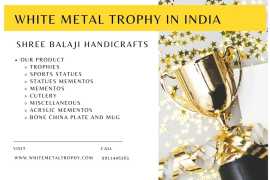 Elegant Recognition Awards in White Metal, New Delhi