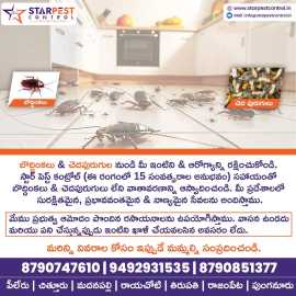 Snake Control or Catcher Experts in Kurnool || Sta, Kurnool