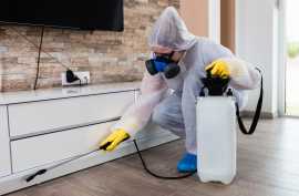 24/7 Emergency Pest Control|Fast, Reliable Service, Arizona City