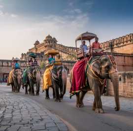 Visit Elephant Village Amer for a Memorable Elepha, Jaipur