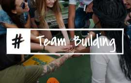 Engaging Team Building Activities in UAE – DeANTS, Dubai