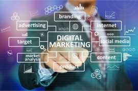 Grow Your Brand with Matebiz's Digital Marketing, New Delhi