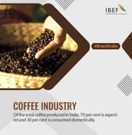 Coffee Plantation in India – Source Aromatic Beans
