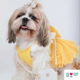 Find the Perfect Dog Dress online at Boof by Bella, New Delhi