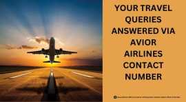 Services You Can Expect at the Avior Airlines , Miami Beach