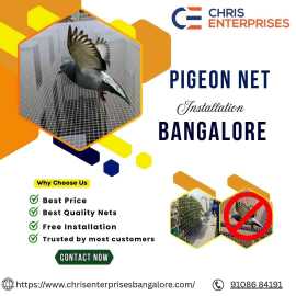 Pigeon Net Installation Bangalore, Bengaluru