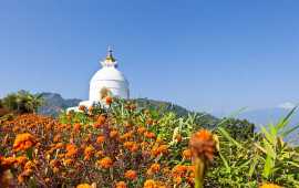 Darjeeling – Gangtok tour package 
