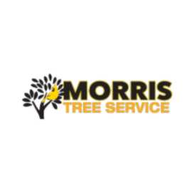 Affordable Tree Trim Experts, Holiday