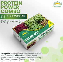 DIY Microgreen Growing Kit – Grow Fresh, Nutritiou, Gandhinagar