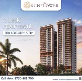  Crafted for the Chosen Few AU The Sunflower, Ghaziabad