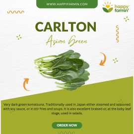 Carlton Mustard Seeds – Tender, Tangy Greens for F, ₹ 1