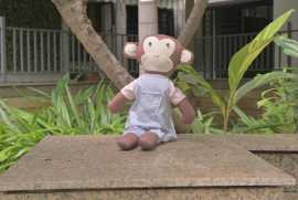 Handmade Stuffed Toys, ₹ 899