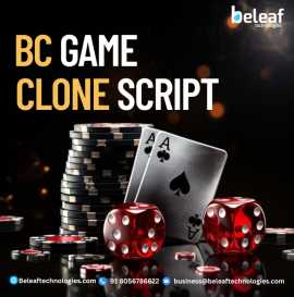 Best BC Game Clone Script development with Beleaft, San Francisco
