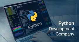 Python Development Company - Vasundhara Infotech, Floral City