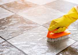 Reliable Carpet Cleaning Services in Beaumaris , Apsley