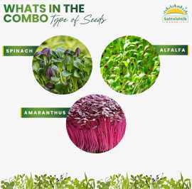 Where to Buy Quality Microgreen Seeds in India for, Gandhinagar
