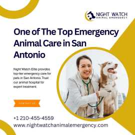 Trusted Emergency Animal Hospital in San Antonio, San Antonio