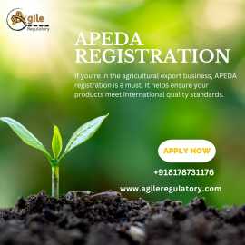 APEDA Registration for Agri-Exporters Made Easy, Noida