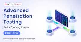 Web Application Penetration Testing Training, New York