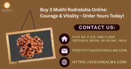 Buy 3 Mukhi Rudraksha Online: Courage & Vitali, $ 0