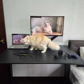 Affordable Desks in Australia, $ 1