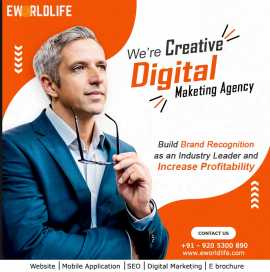 professional Digital Marketing Services , Delhi