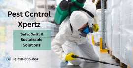 Trusted Pest Control in Dover to Protect Your Home, Dover