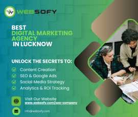 Grow Your Business with Websofy Software Pvt Ltd –, Lucknow
