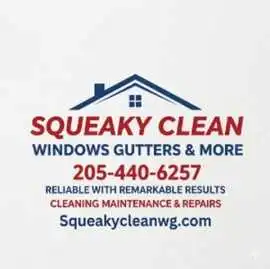 Squeaky Clean Windows, Gutters & More, Birmingham