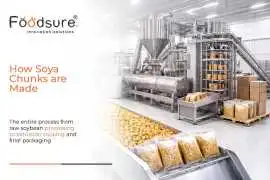 How Soya Chunks Are Made , Noida