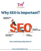 Best SEO Services in Chandigarh | Techwalk Solutio, Mohali