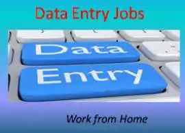 VData Tech offers offline Genuine US form filling job call 7708244092  , $ 82, Chennai