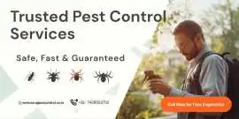 Trusted Pest Control Services in Delhi NCR, New Delhi