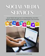 Best Social Media Marketing Services in Mohali | T, Mohali
