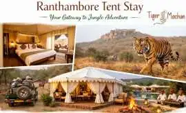 Ranthambore Tent Stay