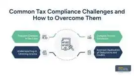Total Tax Liabilities: How to Ensure Accurate Repo, New York