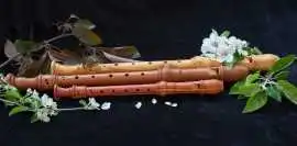 Start Your Musical Journey with a Recorder Instrum, $ 0